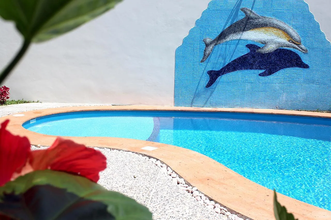 Дом отдыха Отель Triskel Delfin Косумель